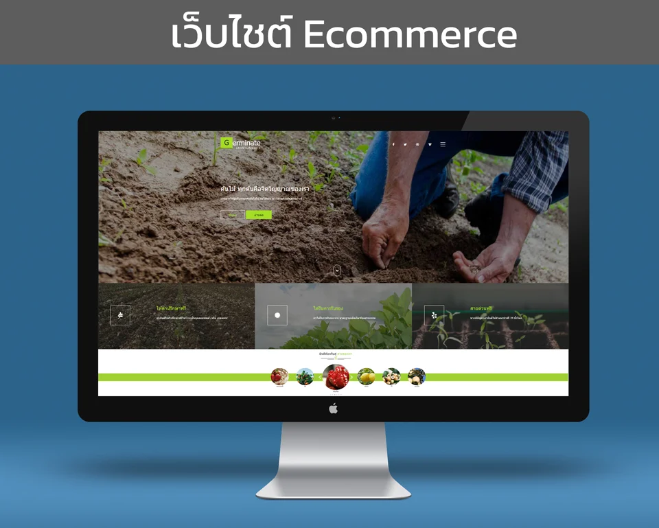 รูปภาพ port งาน เว็บไชต์ shopping ผลิตภัณฑ์การเกษตร ออนไลน์